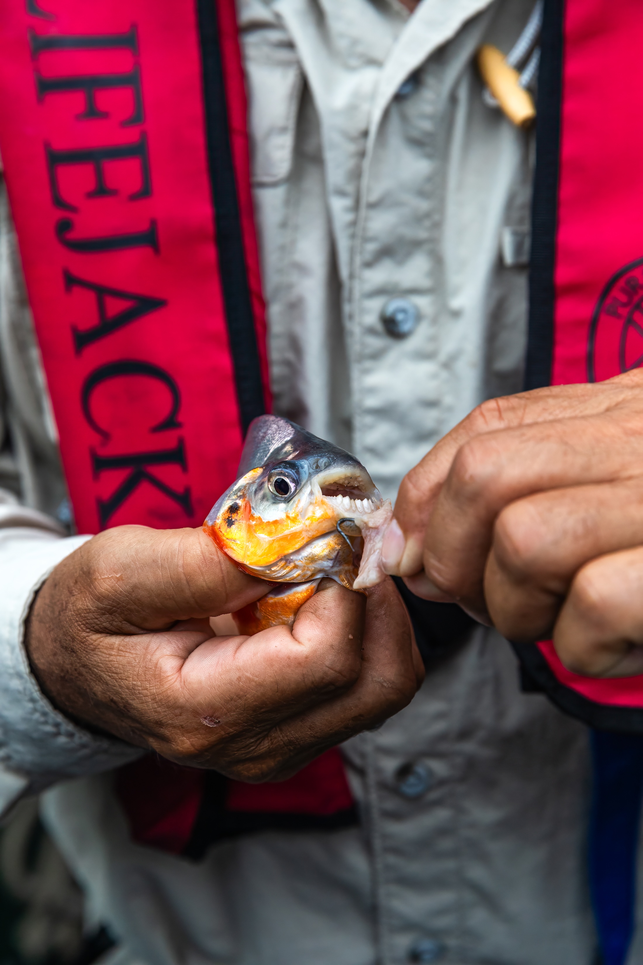 A&K guide releasing a piranha back into the river